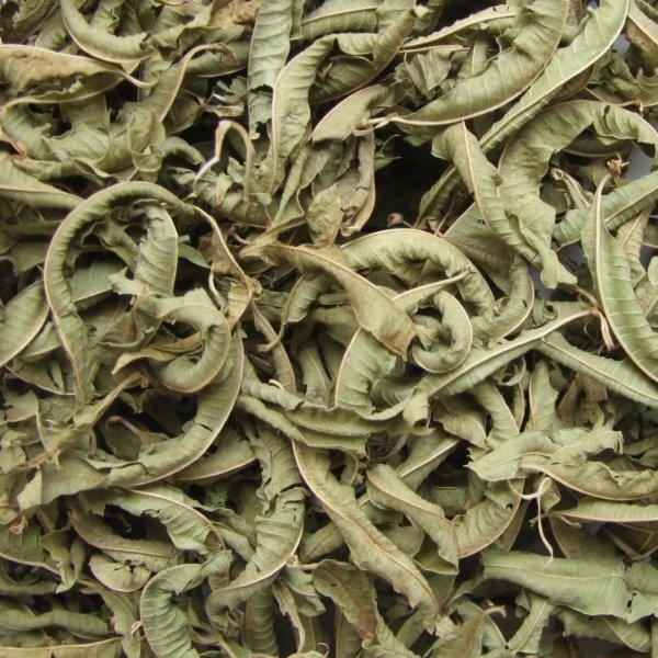 BIO Zitronenverbene, ganzes Blatt